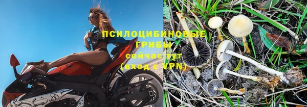 apvp Арсеньев